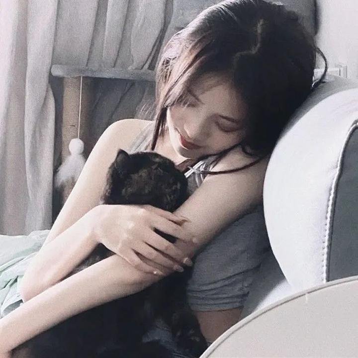 茶花彝女 海报